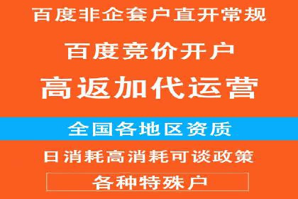 百度SEO推广公司案例分析：成功案例解析